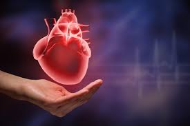Comprar CardioBalance en Mexico, Colombia, Chile, Ecuador, Peru Costa rica, Guatemala, Venezuela, Argentina, Bolivia, Republica Dominicana