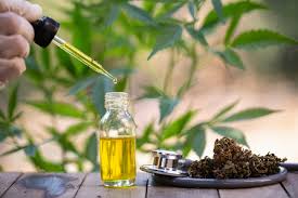cannabis-oil-em-infarmed-no-site-do-fabricante-onde-comprar-no-farmacia-no-celeiro