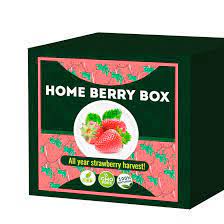 ¿Home Berry Box donde lo venden? Mercado Libre, Amazon, Walmart, página oficial